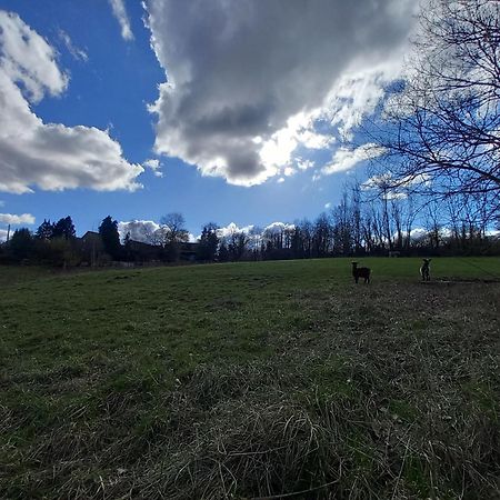 Les Hauts De Meez Dinant Esterno foto