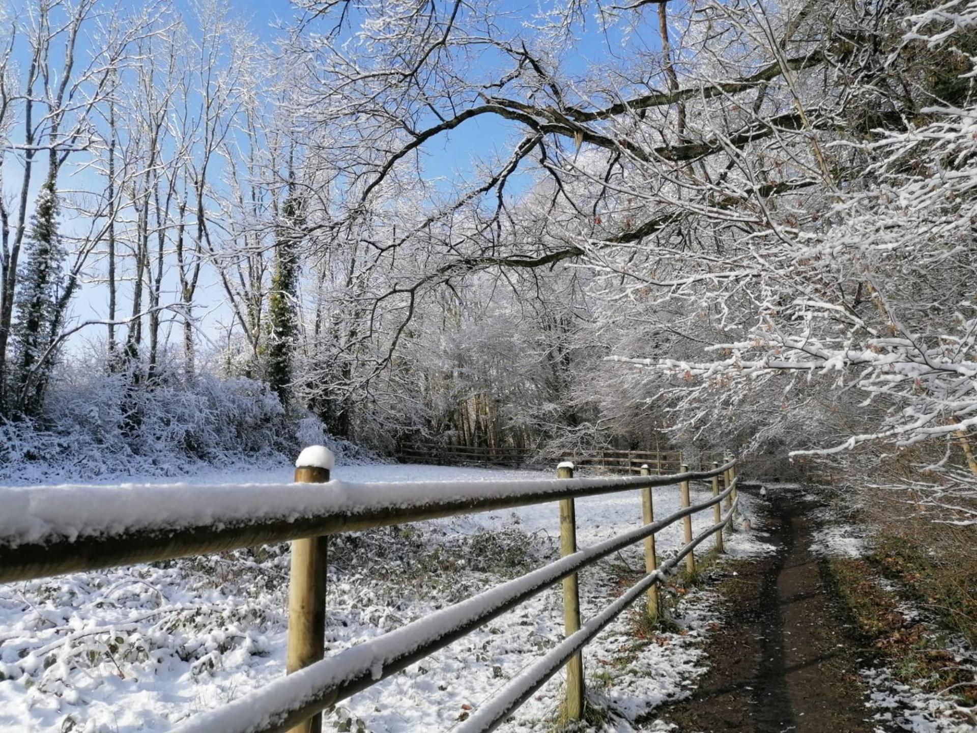 Les Hauts De Meez Dinant Esterno foto